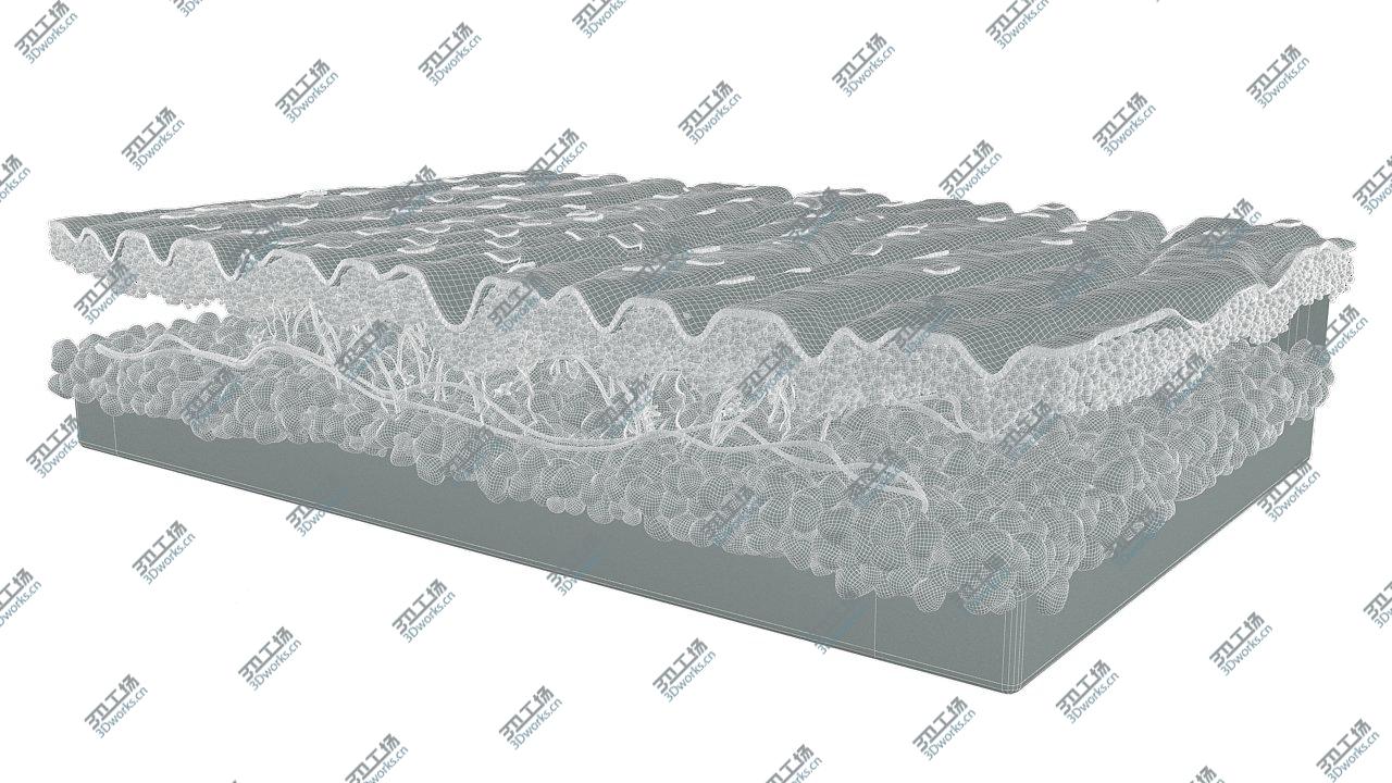 images/goods_img/202104023/Skin Cross Section 3D model/5.jpg